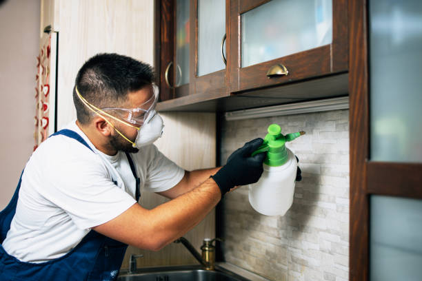 Best Pest Control for Businesses  in Wakefield, KS