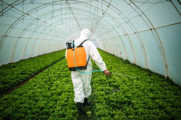 Best Pest Removal Services  in Wakefield, KS
