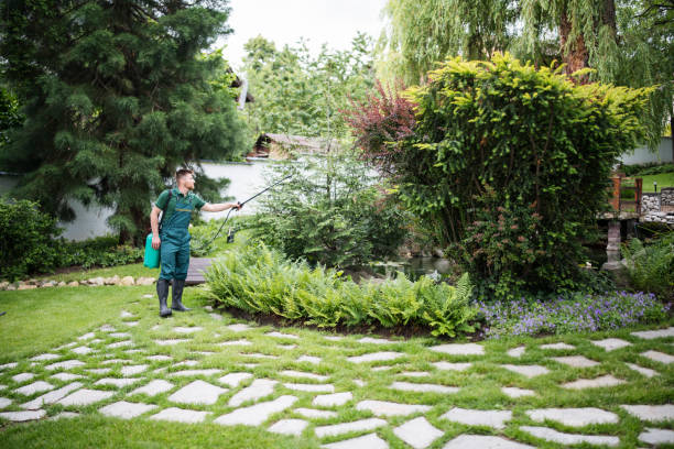 Best Affordable Pest Control Services  in Wakefield, KS