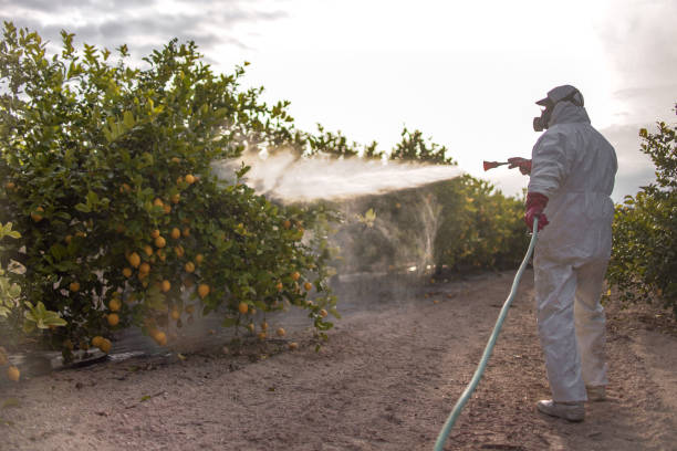 Wildlife Control Services in Wakefield, KS